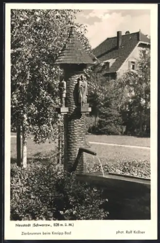 AK Neustadt /Schwarzwald, Zierbrunnen beim Kneipp-Bad