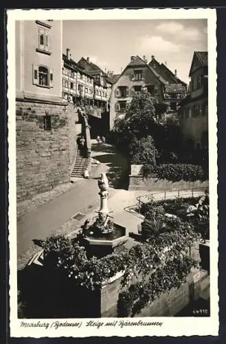 AK Meersburg /Bodensee, Steige mit Bärenbrunnen