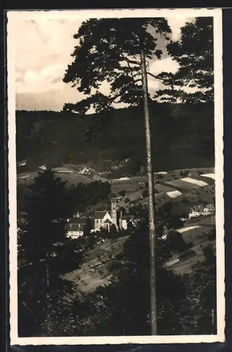 AK Alpirsbach /Schwarzwald, Ortsansicht mit Umgebung
