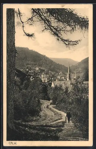 AK Calw, Blick ins Tal