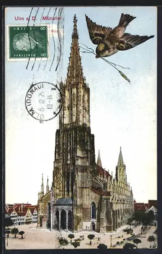 AK Ulm, Blick zum Münster, Spatz