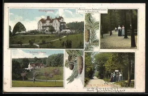 AK Schledehausen / Osnabrück, Sanatorium, Hauptgebäude, Schweizerhaus, Weg zu den Luftbädern
