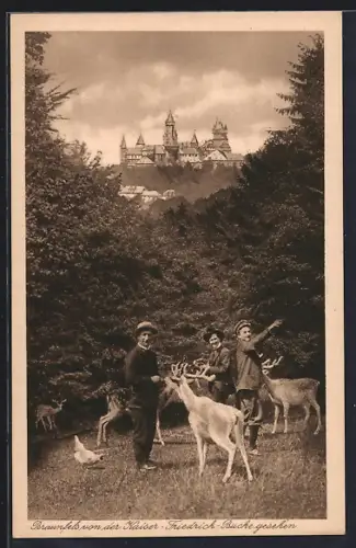 AK Braunfels, Schloss von der Kaiser-Friedrich-Buche gesehen