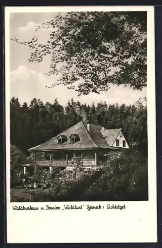 AK Berneck /Fichtelgeb., Waldkurhaus und Pension Waldlust