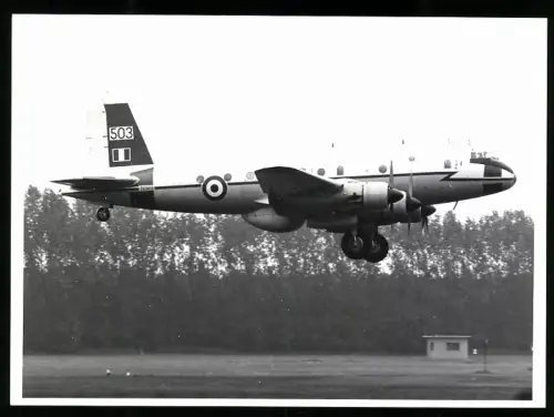 Fotografie Flugzeug Hastings Royal Air Force TG503 beim Landeanflug in Gatow