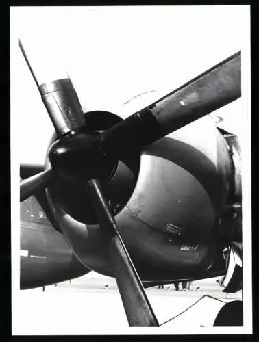 Fotografie Flugzeug Zweimotoriger Aufklärer & leichter Bomber Kon. Marine, Triebwerk-Detail, Turbo-Prop