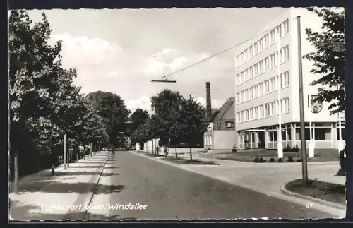 AK Varel / Oldenburg, Blick in die Windallee