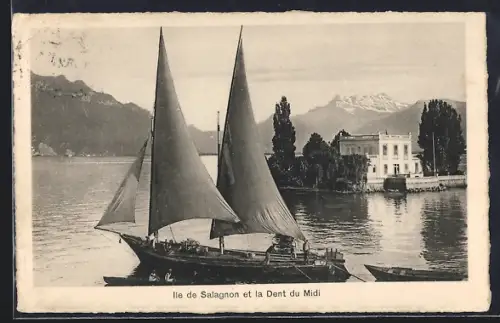 AK Ile de Salagnon, Panorama et la Dent du Midi