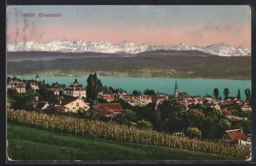 AK Erlenbach /ZH, Teilansicht mit Bergen