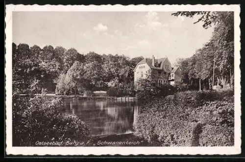 AK Burg a. F., Schwanenteich