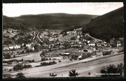 AK Rippberg im Odenwald, Ortsansicht, Landschaft, Hügel
