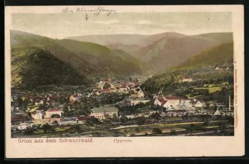 AK Oppenau /Schwarzwald, Ortsansicht