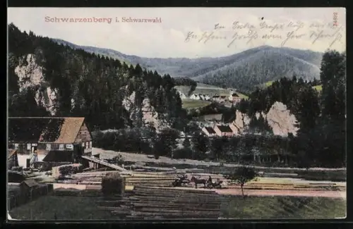 AK Schwarzenberg i. Schwarzwald, Dorfansicht, Sägewerk, umliegende Berge