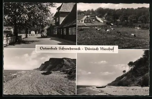 AK Schwedeneck /Dänisch Nienhof, Gaststätte-Pension Zur Schmiede, Bes. Heinrich Tank, Strand, Steilküste