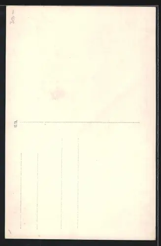 AK Struden, Gasthof von Josef Hocke-Litschauer