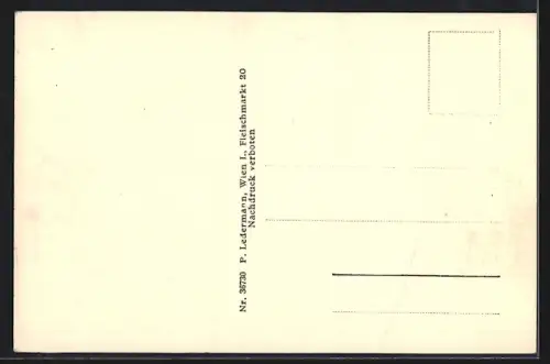 AK Gloggnitz /N.-Oe., Gesamtansicht mit Bergpanorama