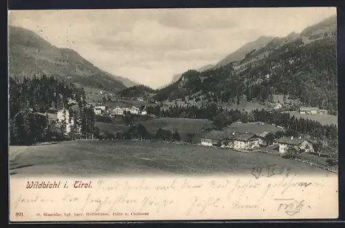 AK Wildbichl i. Tirol, Ortsansicht mit Bergpanorama
