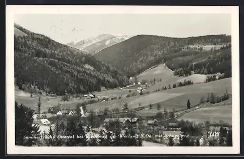 AK Otterthal bei Kirchberg am Wechsel, Totalansicht mit Schneeberg