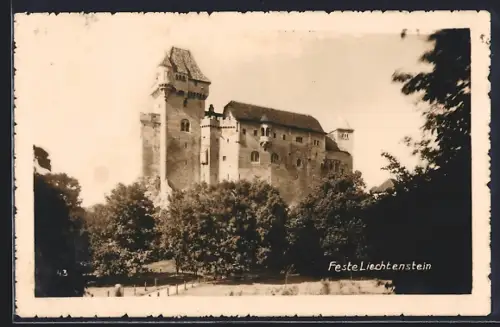 AK Feste Liechtenstein, Ortsansicht mit Zugangsstrasse