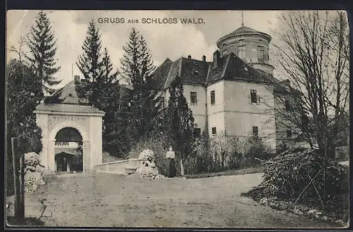 AK Pyhra /N.-Oe., Schloss Wald mit Portal u. Strasse
