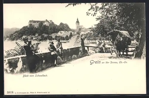 AK Grein an der Donau, Blick vom Schwalleck
