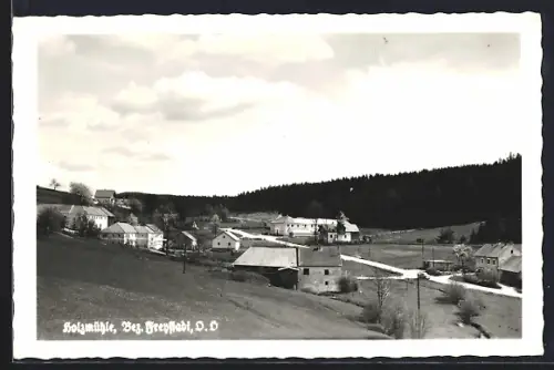 AK Rainbach im Mühlkreis, Holzmühle, Ortsansicht
