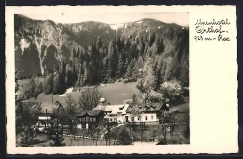 AK Breitenstein am Semmering, Alpenhotel Orthof und Rax