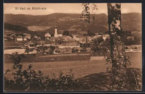 AK St. Veit im Mühlkreis, Teilansicht mit Kirche