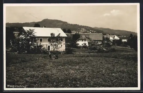 AK Bad Leonfelden, Weigetschlag, Ortspartie