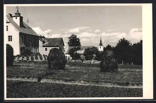AK Waldburg b. Freistadt, Ortspartie mit Kirche