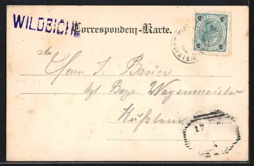 AK Wildbichl /Tirol, Ortspartie