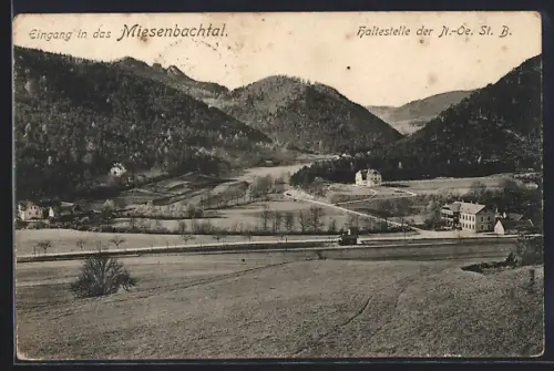 AK Puchberg am Schneeberg, Miesenbachtal, Blick auf den Eingang in das Tal