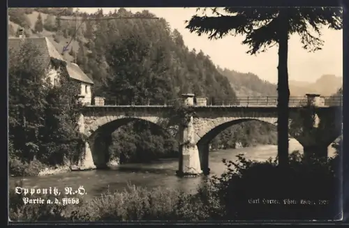 AK Opponitz /N.-Ö., Partie an der Ybbs