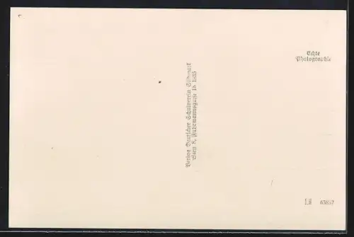 AK Puchberg am Schneeberg, Strassenpartie mit Burg