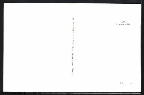 AK Neustadtl a. d. Donau, Teilansicht mit Kirche und zwei Frauen