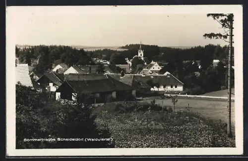 AK Göpfritz an der Wild, Scheideldorf im Waldviertel, Teilansicht mit Bäumen