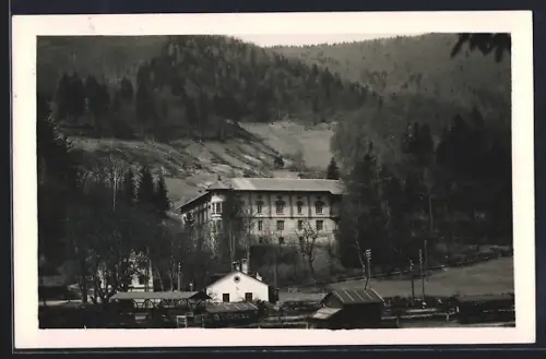 AK Türnitz /N.-Oe., Freiland, Ortspartie mit dem Schloss Freiland