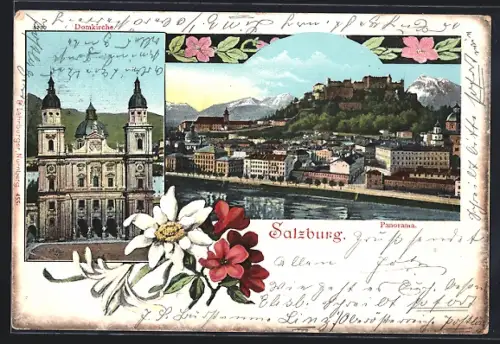 AK Salzburg, Panorama mit Schloss und Domkirche