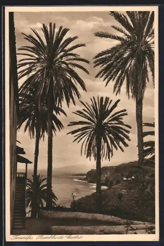 AK Tenerife, rambla de Castro