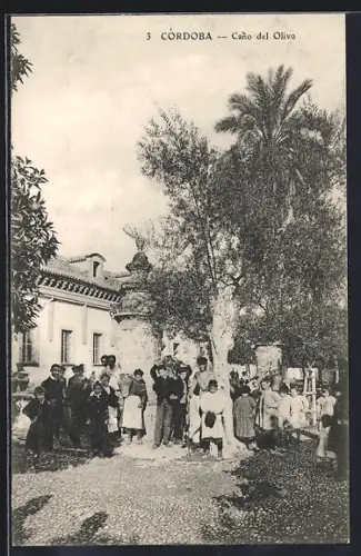 AK Córdoba, Cano del Olivo
