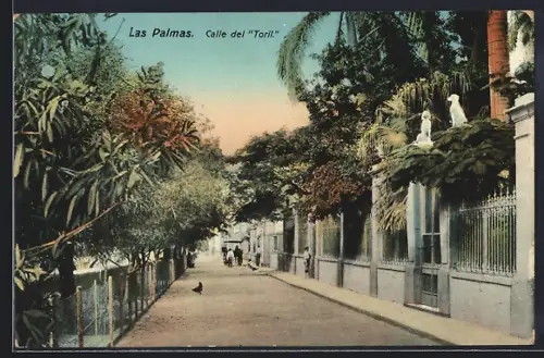 AK Las Palmas, Calle del Toril