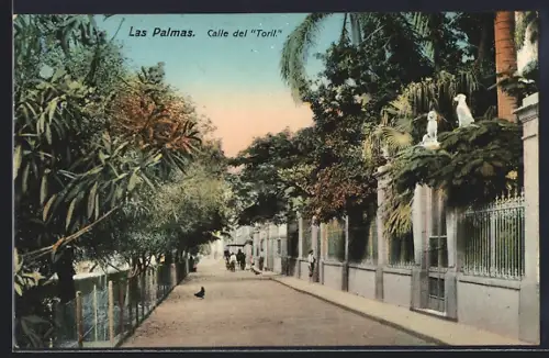 AK Las Palmas, Calle del Toril
