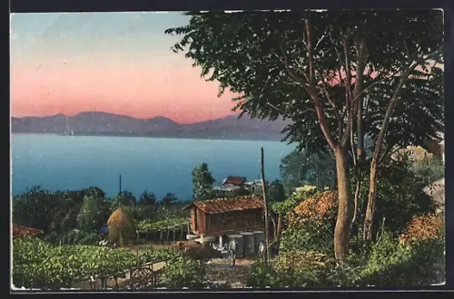 AK Vigo, Paisaje