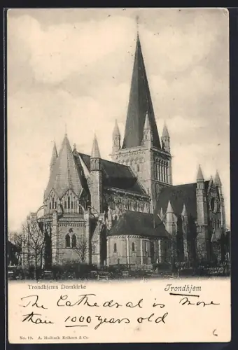 AK Trondhjem, Domkirke