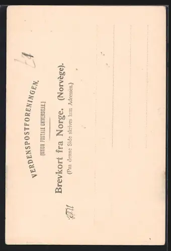 AK Trondhjem, Domkirke