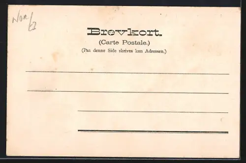 AK Loenvand /Nordfjord, Ruderboot auf dem Fjord