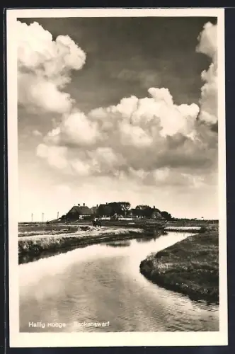 AK Hooge, Backenswart
