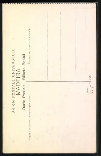 AK Madeira, Rede, Palme, Sänftenträger