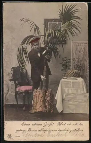 AK Page liefert eine Palme ab