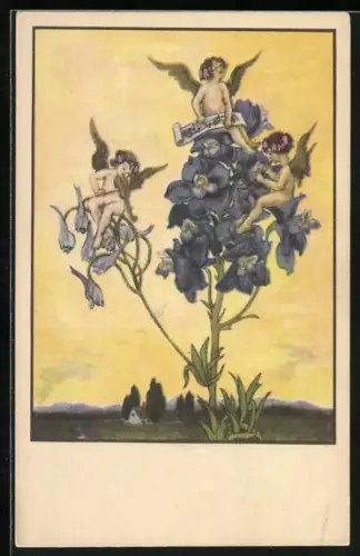 AK Kleine Engel musizieren auf einer Blume